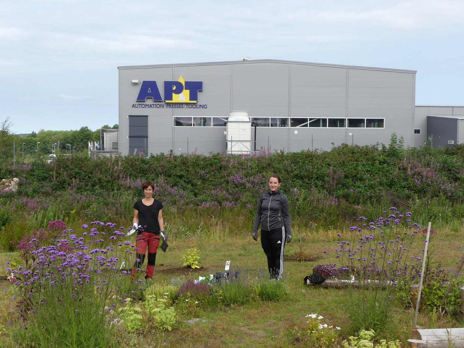 ミツバチガーデンの栽培AP&T の品質・環境調整役マリア・ラップ（Maria Rapp）氏と Götessons 持続可能性調整役エンマ・ハグマン（Emma Hagman）氏によりレナーセンのミツバチガーデンは花でいっぱいになる。 